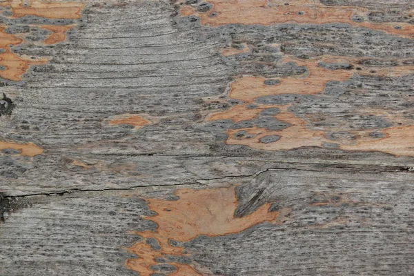 Wood board texture weathered background — Stok fotoğraf