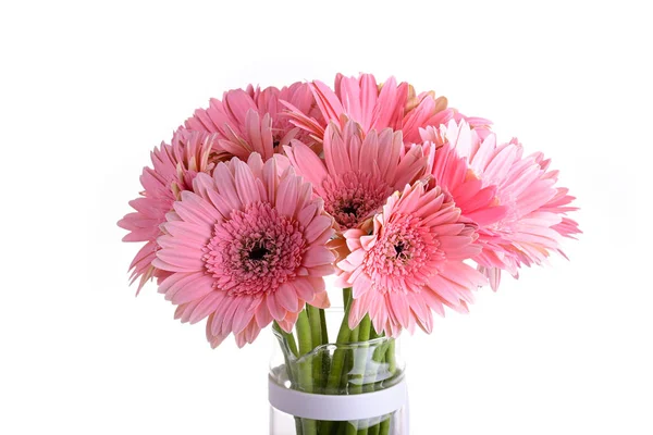 Rosa gerbera florescendo na decoração vaso de vidro, bela flor isolada no fundo branco — Fotografia de Stock