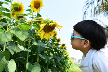 Açık hava çiçek parkındaki sevimli çocuk, güneş gözlüğü takan çocuk.