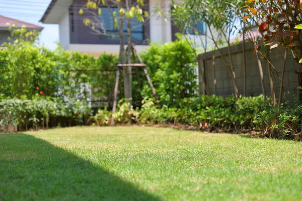 Travnatá zahrada se zeleným trávníkem a malou rostlinnou dekorací mimo domov — Stock fotografie