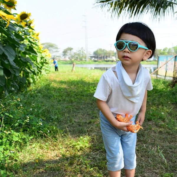 Cute child in sunflower field of outdoor flower park, boy wearing sunglasses — 스톡 사진