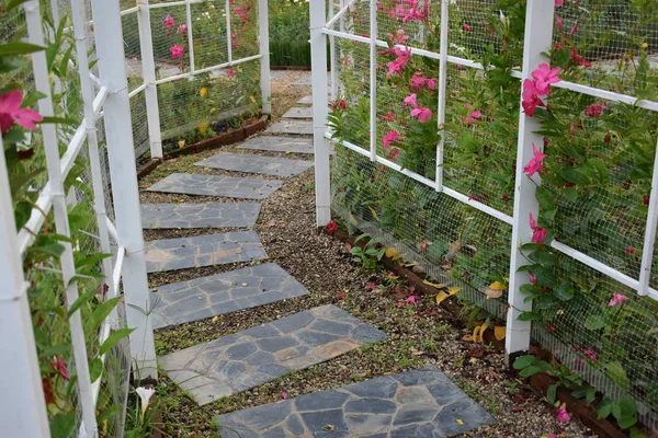 Sten block bana i blomma trädgård — Stockfoto