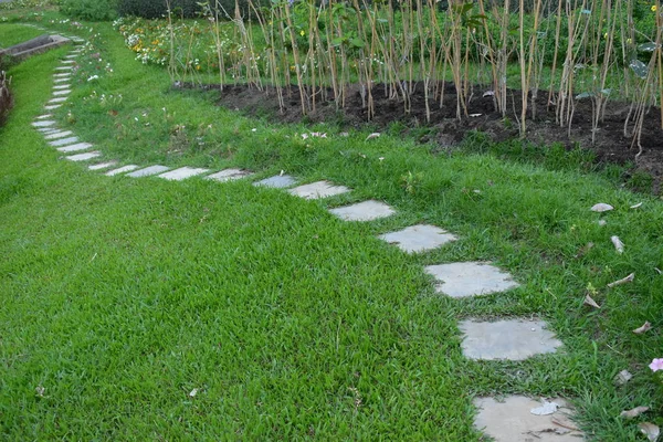 Camino de bloque de hormigón en el jardín de hierba verde — Foto de Stock