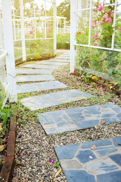 Stone block pathway in flower garden — 스톡 사진