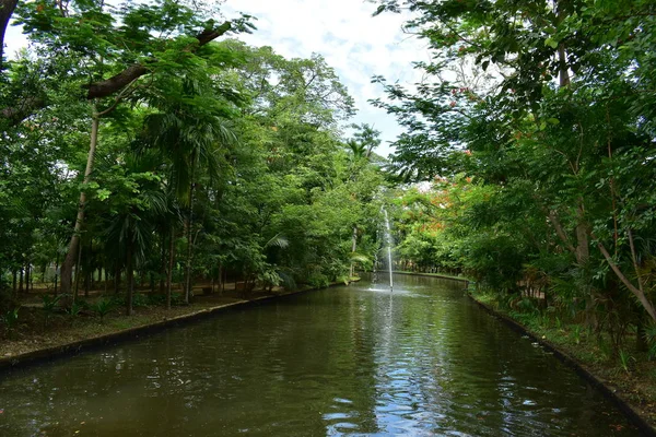 Paisaje de parque público por la mañana con vista al agua pequeño estanque — Foto de Stock