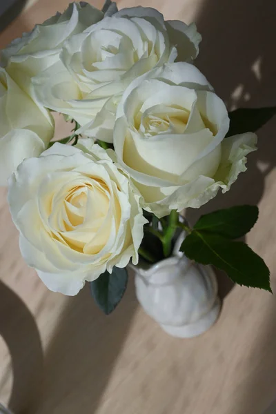 Güzel beyaz gül çiçeği vazoda çiçek açıyor. Gün ışığında güneş ışığıyla birlikte. — Stok fotoğraf