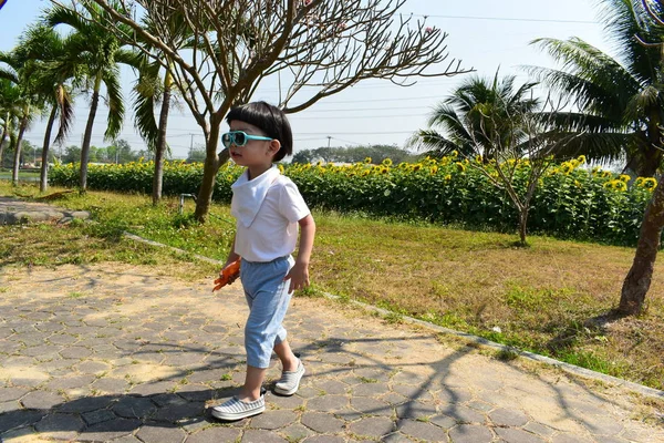 Cute child in sunflower field of outdoor flower park, boy wearing sunglasses — 스톡 사진