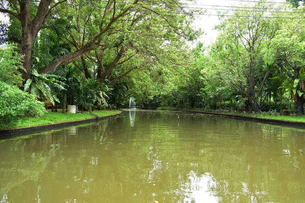 stock image landscape of public park in the morning with view of water small pond