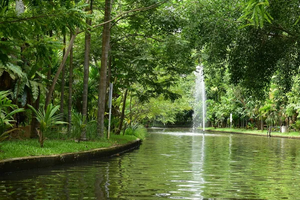 Paisaje de parque público por la mañana con vista al agua pequeño estanque — Foto de Stock