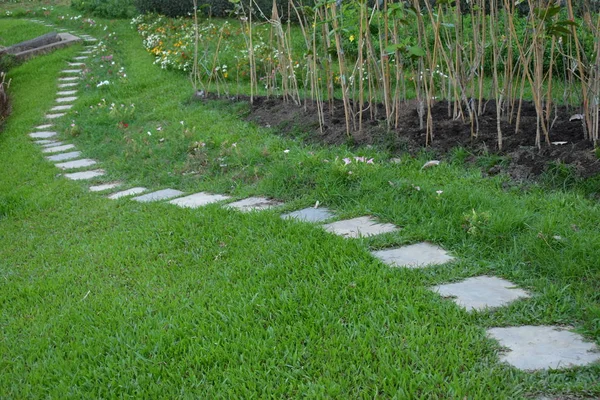 Concrete block pathway in green grass garden — 스톡 사진