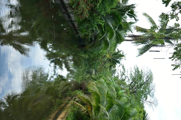 Paisaje de parque público por la mañana con vista al agua pequeño estanque — Foto de Stock