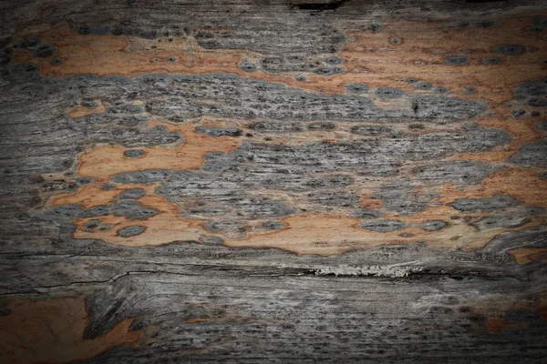 Hout plaat textuur verweerde achtergrond — Stockfoto