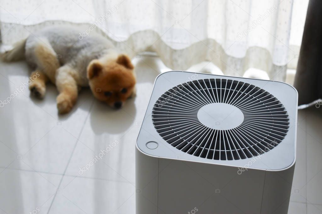 air purifier system cleaning dust pm 2.5 pollution in living room with cute dog in home