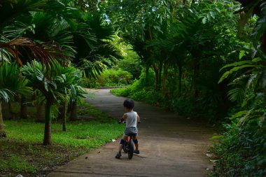 Parkta denge bisikleti oynayan mutlu sevimli çocuk eğleniyor, dışarıda sağlıklı aile aktiviteleri yapıyor.