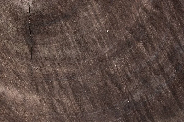 Madeira marrom madeira log textura fundo — Fotografia de Stock
