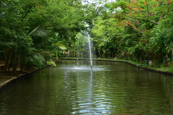 Paisaje de parque público por la mañana con vista al agua pequeño estanque — Foto de Stock