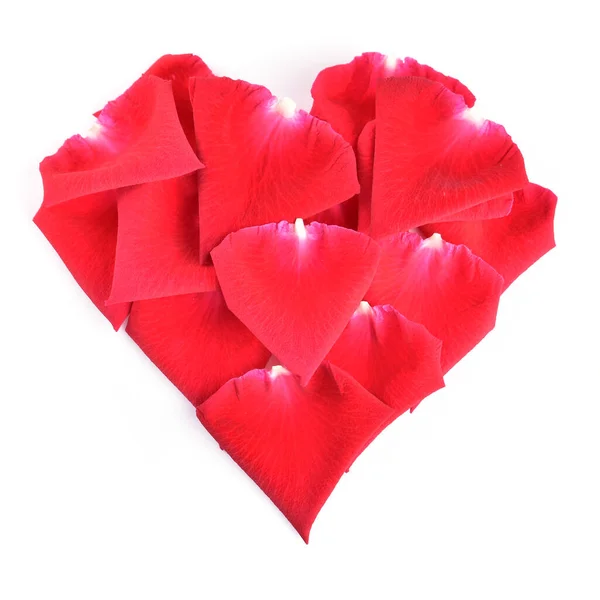 Красная форма сердца лепестка розы цветок изолирован на белом фоне, изображение романтический символ любви — стоковое фото