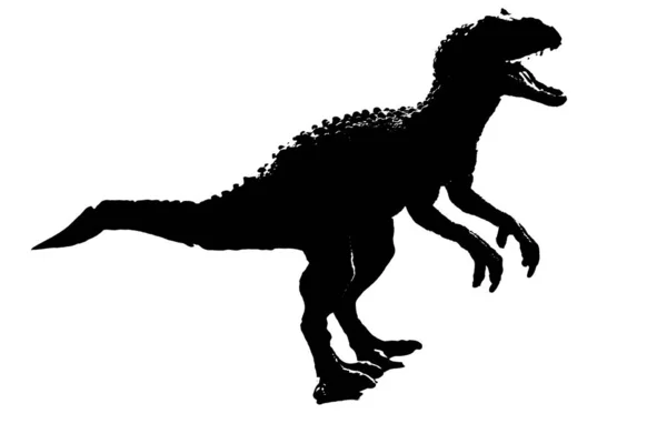 Silhouette image black giganotosaurus dinosaur monster in cretaceous period on white background — 스톡 사진