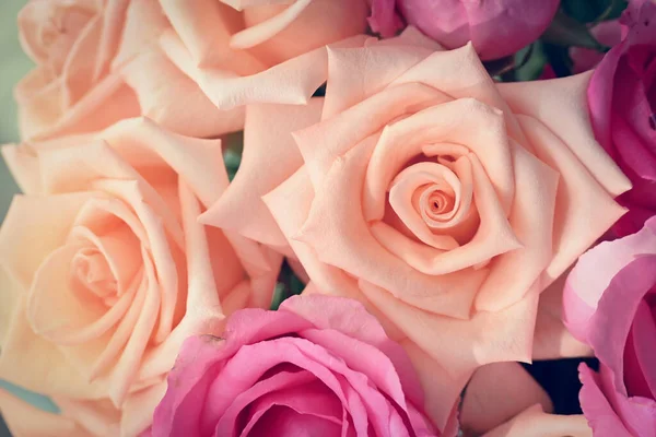 Cor de ouro rosa laranja bonita flor florescendo no dia da manhã — Fotografia de Stock