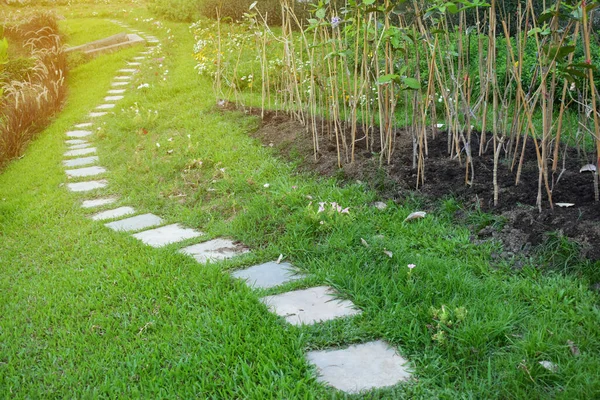 Concrete block pathway in green grass garden — 스톡 사진