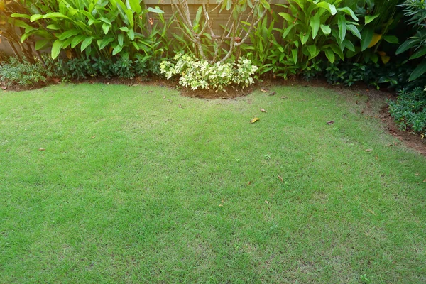 Διαμόρφωση κήπου εξωραϊσμός με πράσινο γρασίδι χλοοτάπητα και μικρό φυτό θάμνος σε backyack της διακόσμησης σπιτιού — Φωτογραφία Αρχείου