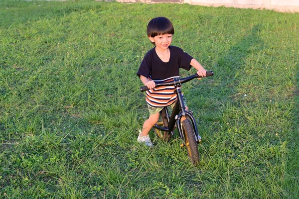 cute boy playing balance bike on grass field of playground
