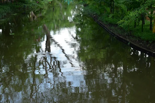 Paisaje de parque público por la mañana con vista al agua pequeño estanque — Foto de Stock