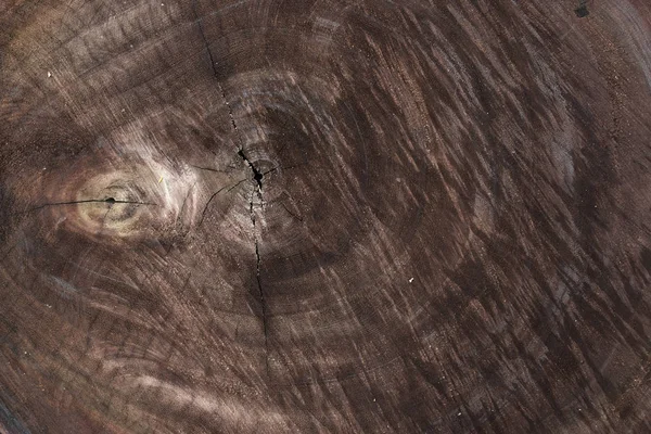 Legno marrone legno tronco texture sfondo — Foto Stock