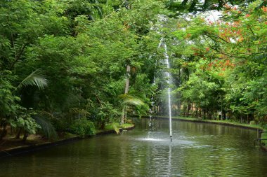Sabahları küçük su gölü manzaralı bir parkın manzarası.