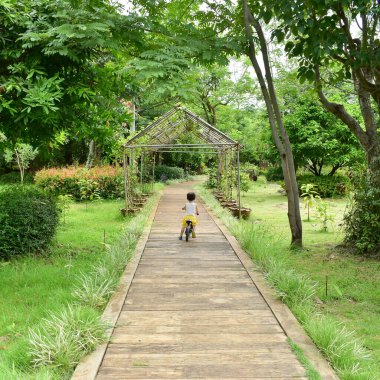 Parkta denge bisikleti oynayan mutlu sevimli çocuk eğleniyor, dışarıda sağlıklı aile aktiviteleri yapıyor.