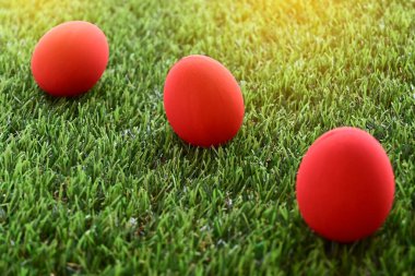 Çimenlikteki kırmızı paskalya yumurtası yeşil çimenler suni, bahar sabahı konsepti.