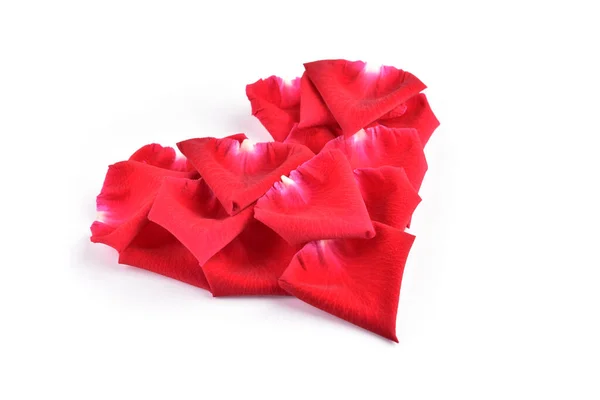 Czerwony Kształt Serca Kwiat Różany Płatek Odizolowany Białym Tle Obraz — Zdjęcie stockowe