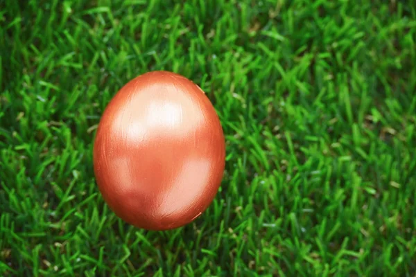 Çimlerin Üzerinde Bakır Altın Paskalya Yumurtası — Stok fotoğraf
