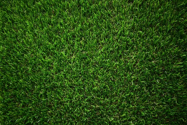 Πράσινο Γρασίδι Χλοοτάπητα Πάτωμα Τεχνητό Φόντο — Φωτογραφία Αρχείου