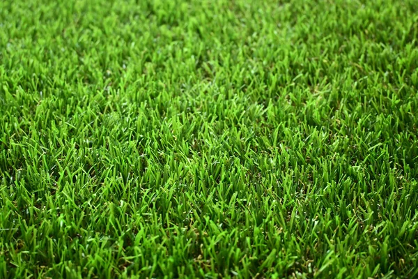 green grass turf floor artificial