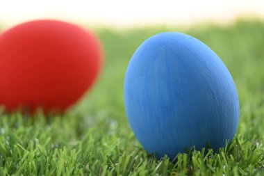 Çimenlikteki kırmızı ve mavi paskalya yumurtası yeşil çimenler suni, bahar sabahının konsept görüntüsü