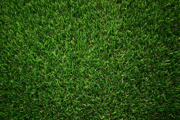 Green Grass Turf Floor Artificial Background — Stock Photo, Image