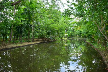 Sabahları küçük su gölü manzaralı bir parkın manzarası.