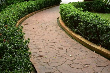 Yeşil doğal parktaki çimento yolu.