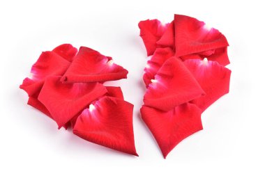 Beyaz arka planda izole edilmiş gül yaprağının kırmızı kırık kalbi aşk sorununun soyut sembolü.