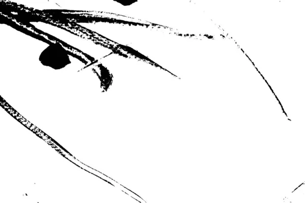 抽象的な黒ブラシストロークシルエットの水彩画の質感を白地に描く — ストック写真