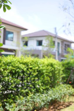 Bahçenin arka planı bulanık yeşil bitki desenli doğal manzara.