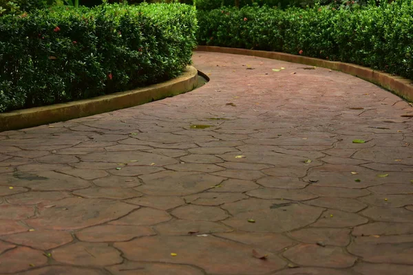 Cement Stone Pathway Green Natural Park — Stock Photo, Image