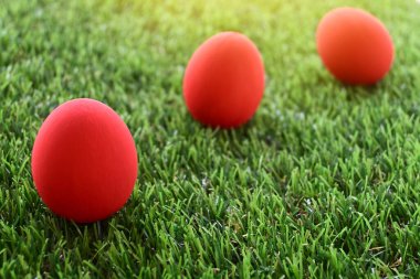 Çimenlikteki kırmızı paskalya yumurtası yeşil çimenler suni, bahar sabahı konsepti.