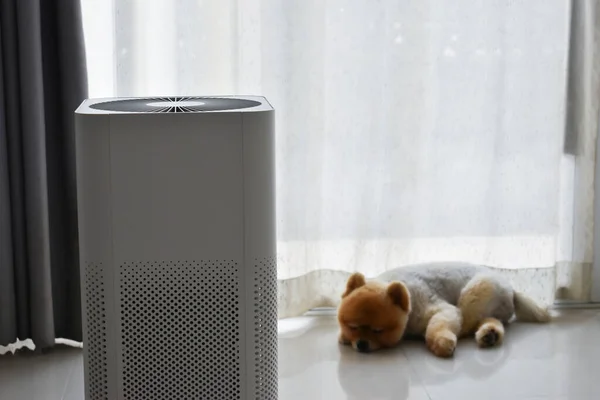 Sistem Pembersih Udara Membersihkan Debu Polusi Ruang Tamu Dengan Anjing — Stok Foto