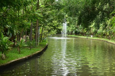 Sabahları küçük su gölü manzaralı bir parkın manzarası.