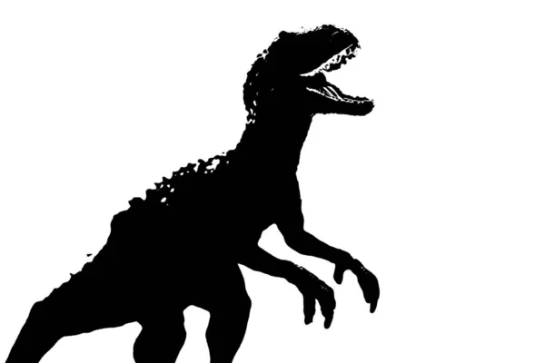 Silhouette Bild Schwarz Giganotosaurus Dinosaurier Monster Kreidezeit Auf Weißem Hintergrund — Stockfoto