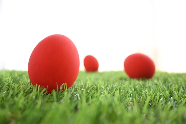 red easter egg on lawn green grass artificial with blank white background