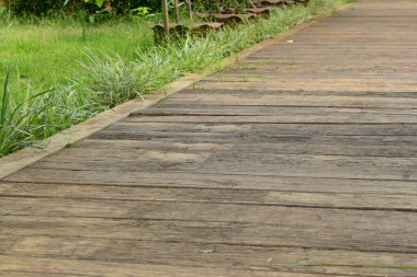 Yeşil doğal parktaki beton tuğla yolu