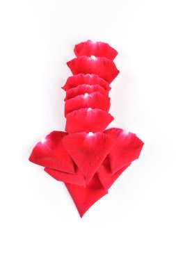 Kırmızı ok işareti yönü gül çiçeğinden yapılmıştır, beyaz arkaplanda izolasyon sembolü